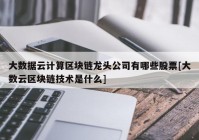 大数据云计算区块链龙头公司有哪些股票[大数云区块链技术是什么]